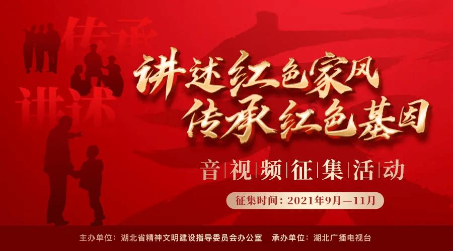 美妙森林找不同
